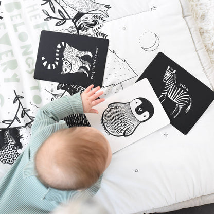 Art Cards for Baby - Black and White