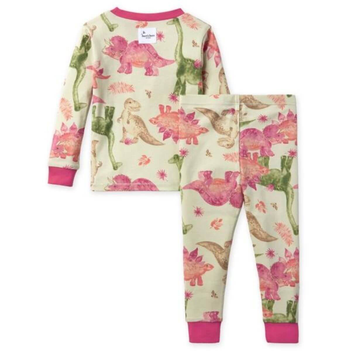 Organic Mega Dino Friends Tee & Pant PJ Set